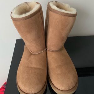 Women’s classic short chestnut uggs